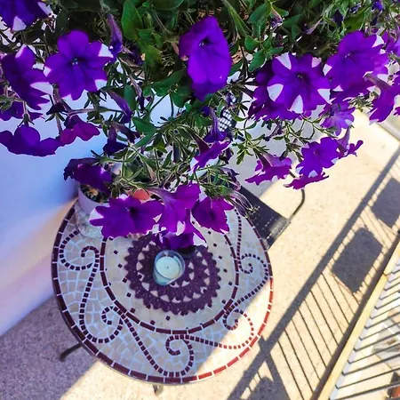 Apartament Larus Split