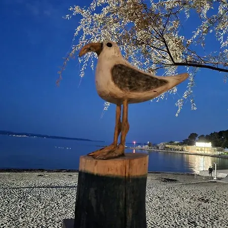 Apartman Larus *