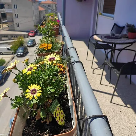 Apartment Larus *