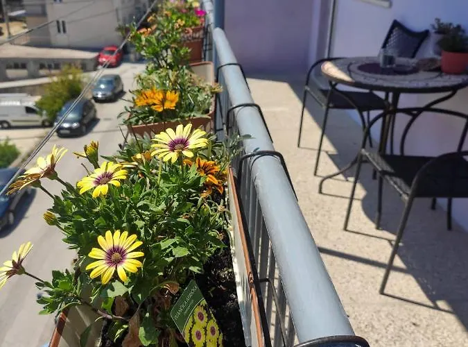 アパート Larus *