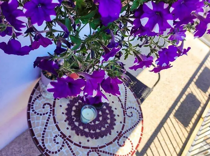 公寓 Larus 斯普利特