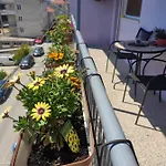 Apartman Larus *